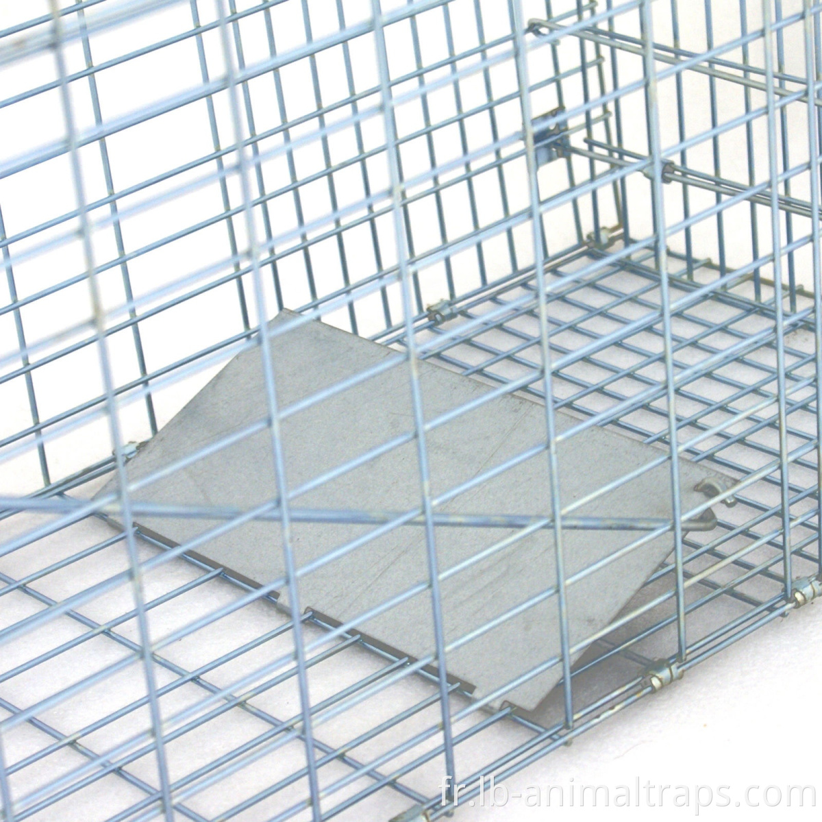 Vente chaude Liebang Marten Trap Cages à vendre Supply usine